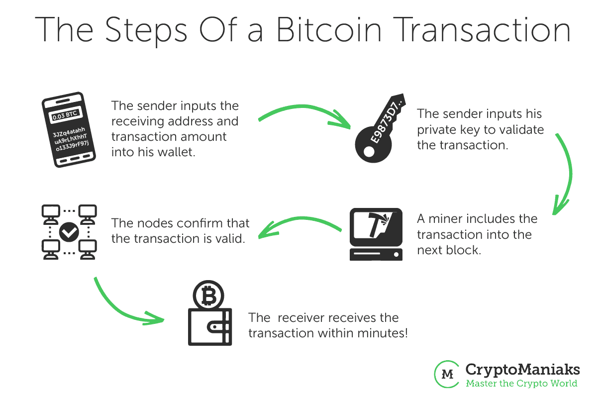 trace bitcoin transactions