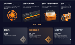Bitsler review vip club levels screenshot