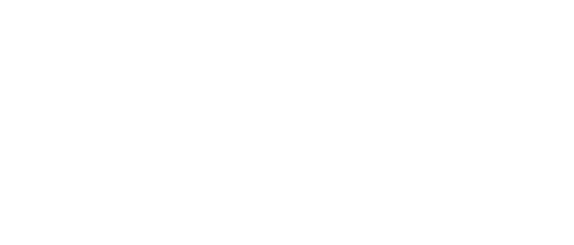 Bao Casino Logo