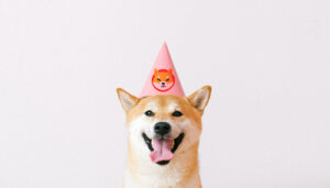 Shiba Inu
