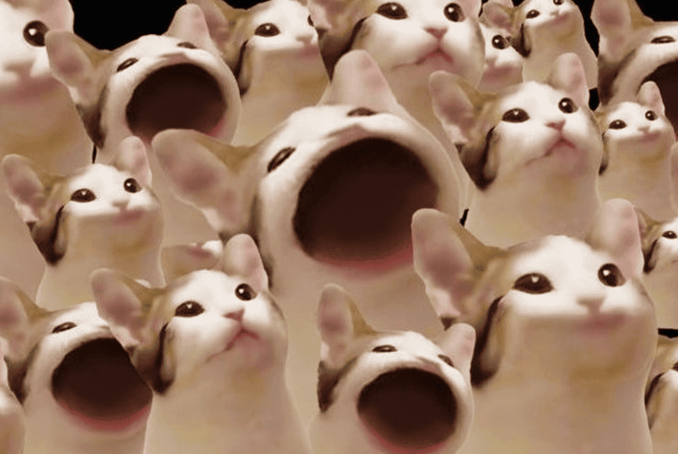 Popcat
