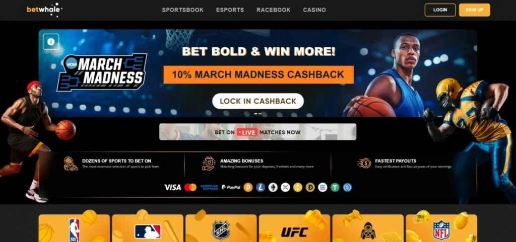 BetWhale Review: Homepage