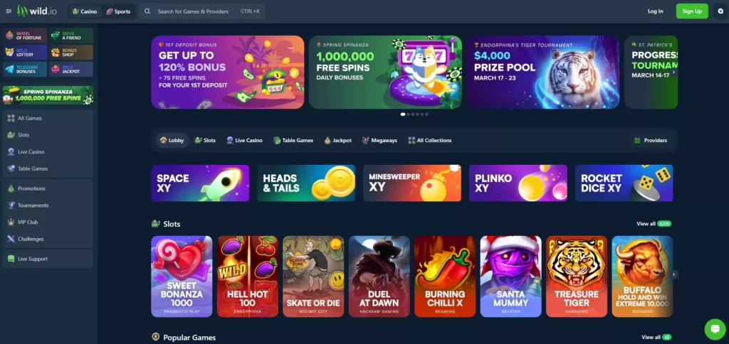 Wild.io Review: Casino