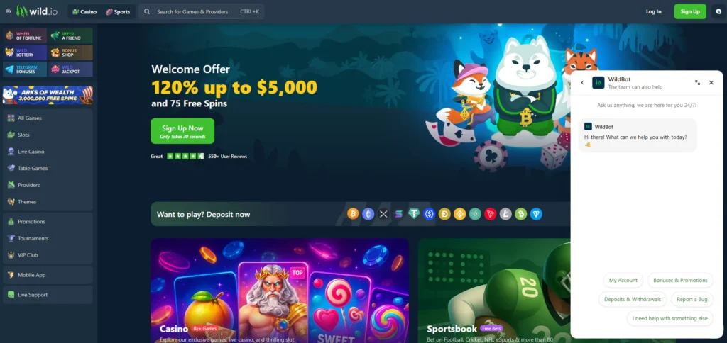 Wild.io Review: Customer Support
