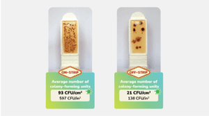 average bacteria colones by location