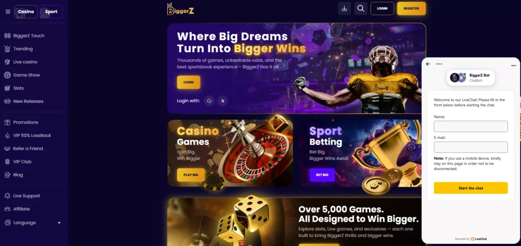 BiggerZ Review: Customer Support