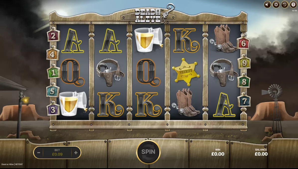 Dead or Alive Slot Review: Gameplay