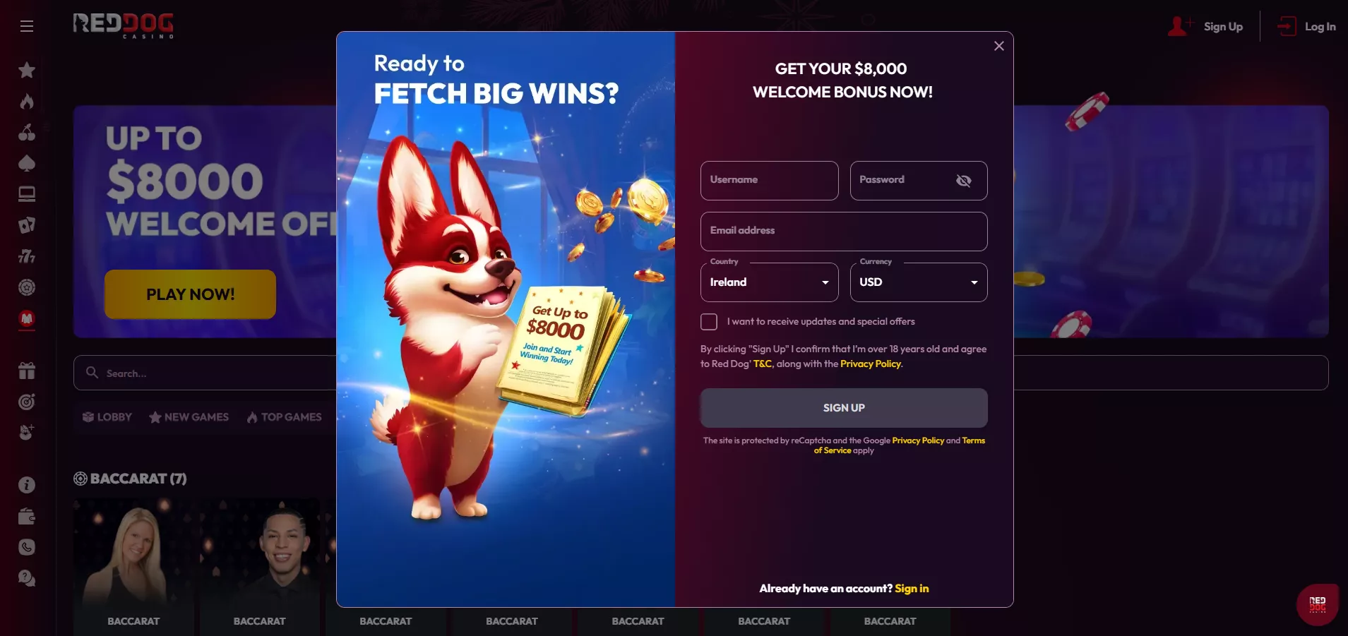 Red Dog Casino Review: Registration