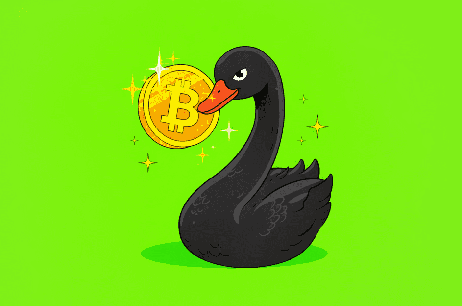 crypto black swan